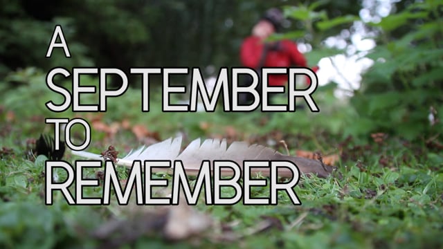 Man Sleeps in London’s Different Parks for 30 Nights